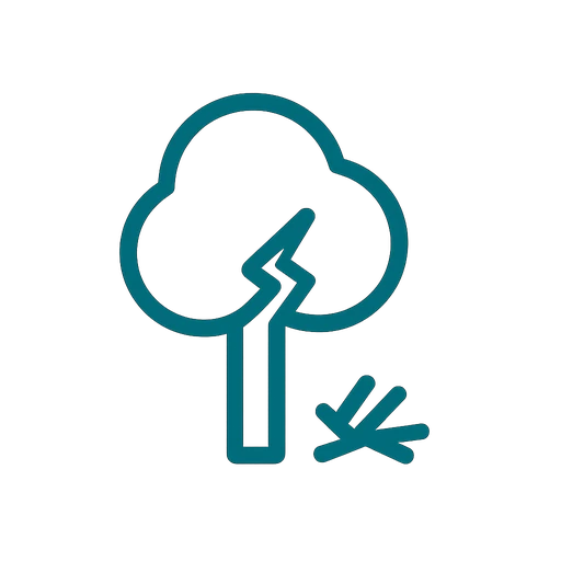 Storm-damaged branches being cleared from a residential lot